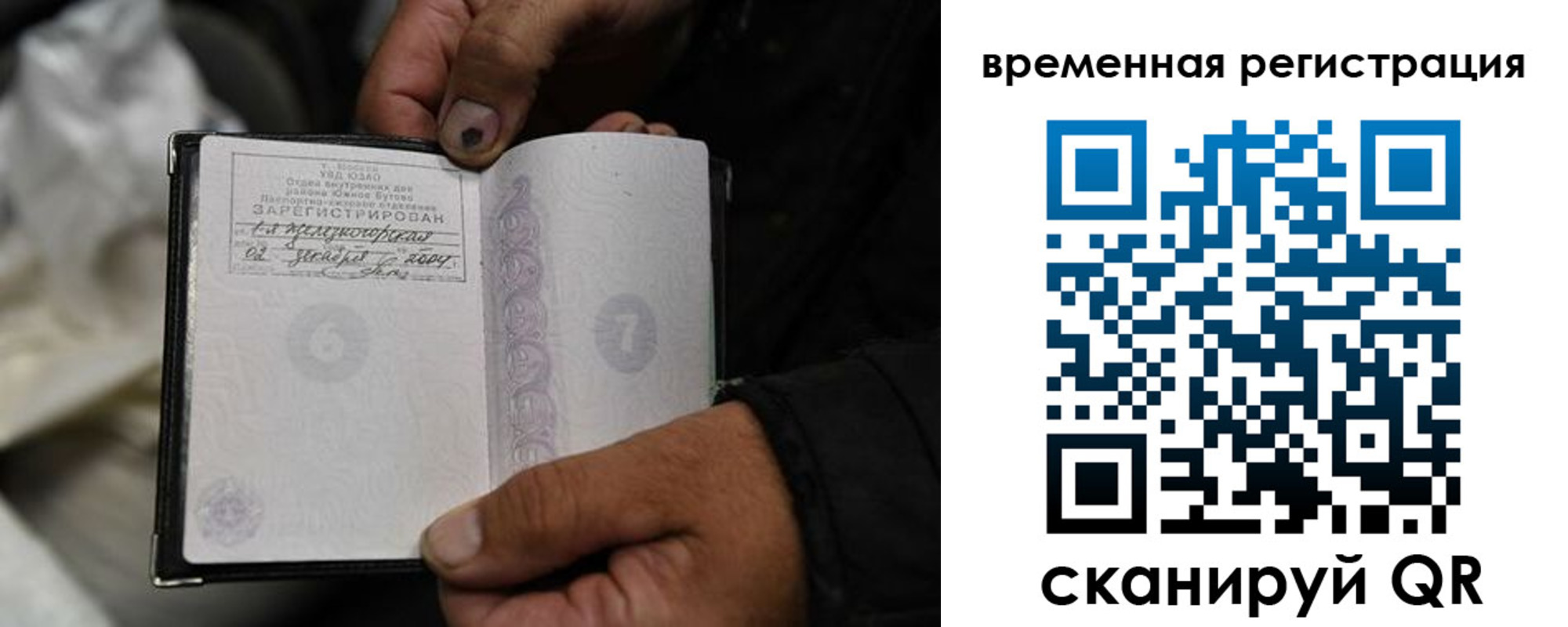 прописка поиск в Шумихе